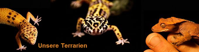 Unsere Terrarien